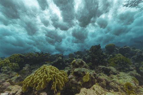 Scuba Diving in Belize - Caribbean Culture and Lifestyle