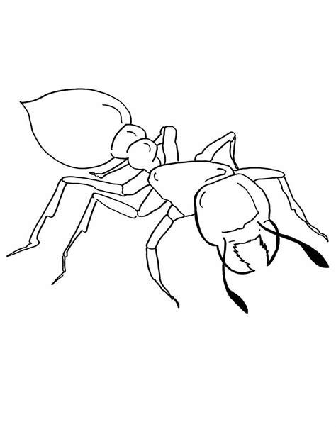 Desenho De Formiga Para Imprimir - 6