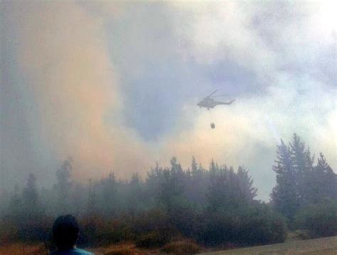 Al menos 12 hectáreas han sido arrasadas por un incendio forestal en el