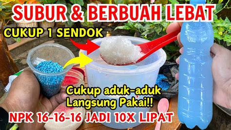 Terbukti Tanaman Subur Disiram Pupuk Ini Pupuk Npk X Lebih