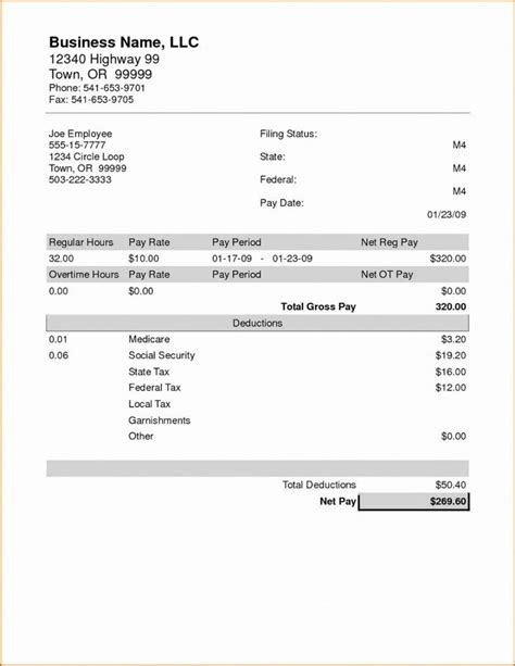 Truck Driver Pay Stub Template