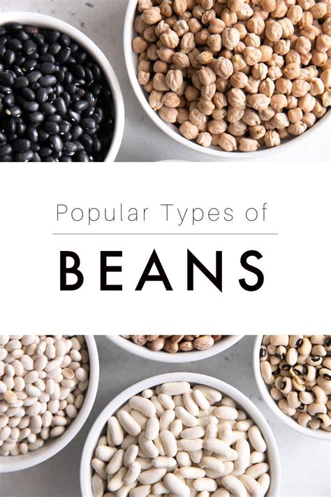 Types Of Beans And How To Use Them The Forked Spoon