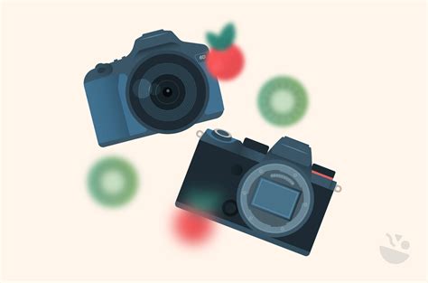 Ultimate Camera Guide for Food Photography - Bootstrapped Ventures