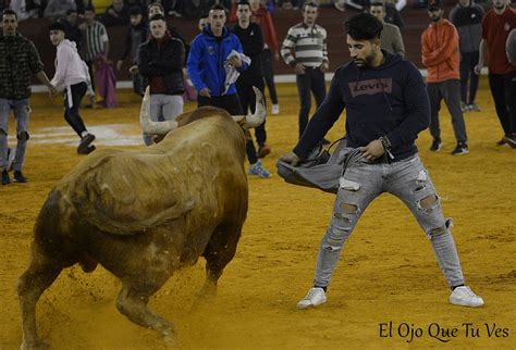 Illescas Toro Del Milagro