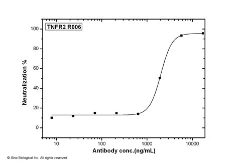 Anti Tnfr Cd B Neutralizing Antibody Rabbitmab R N