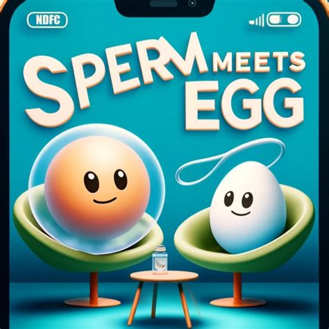 how to know if sperm meets egg