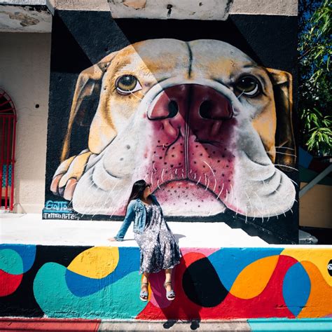 A Street Art Tour of Santurce | Discover Puerto Rico