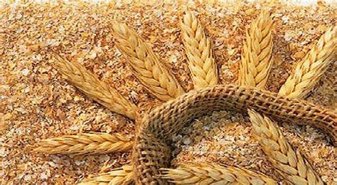 Farelo De Trigo Engorda Ou Emagrece - Farelo de Trigo Engorda ou Emagrece? - MundoBoaForma.com.br