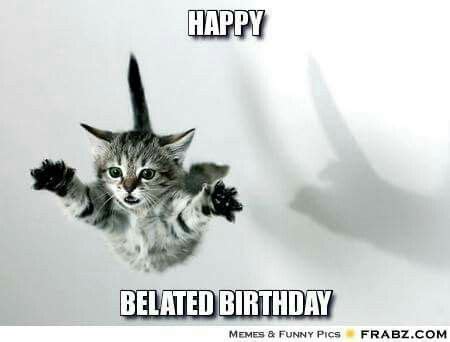 The Best 25 Belated Birthday Meme Cat - drizzlesepics