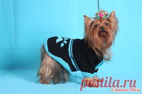 Свитер для собаки | Вязание для животных | Постила