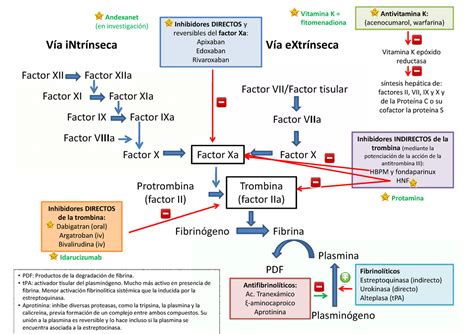 Via Intrínseca E Extrínseca - Via Intrínseca E Extrínseca Da Coagulação - NAZAEDU
