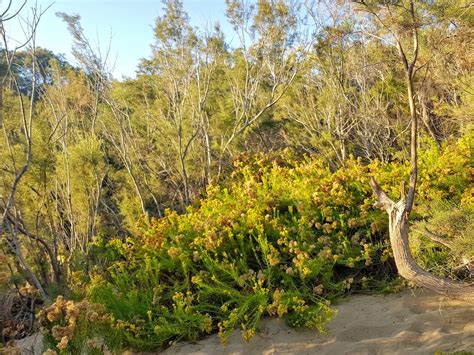 Sex Im Freien Ist Das In Deutschland Erlaubt