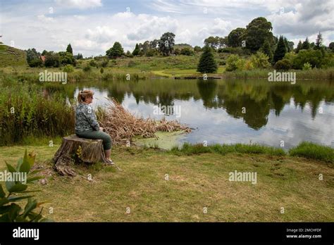 Dullstroom South Africa A Mature Woman Sits On A Stump And Looks Out