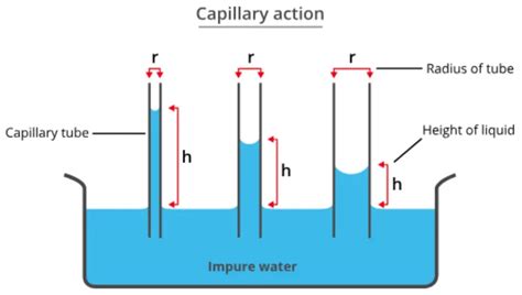 exploring  fascinating world  surface tension  physics physics