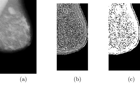 Figure From Co Occurrence Matrix And Fractal Dimension For Image