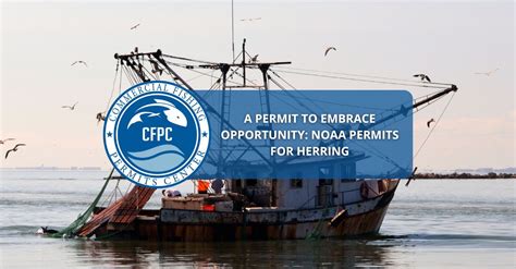 NOAA Permits Embrace Opportunity For Fishing Herring