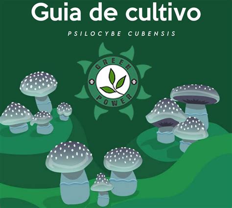 E Book Guia De Cultivo Cogumelos M Gicos