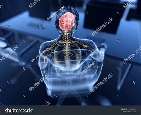 character position images stock  vectors shutterstock