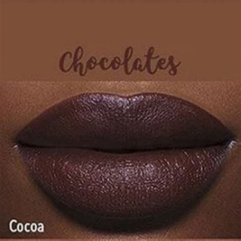Juvia S Place Makeup Juvias Place The Nude Chocolates Velvety Matte Lipstick In Cocoa Poshmark