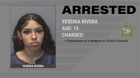 narcotics investigation ends  eleven arrests hcso tampa fl