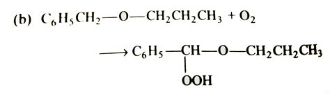 supplied  capillaries   lacteal vessels