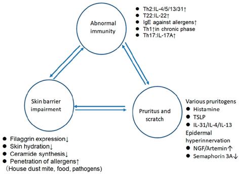 Figure From The Roles Of Sex Hormones In The Course Of Atopic Dermatitis Semantic Scholar