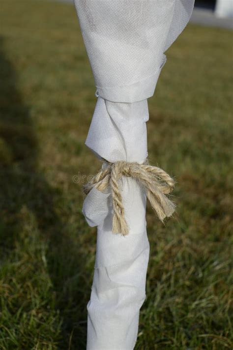 White agrotextile cover stock image. Image of background - 239638569