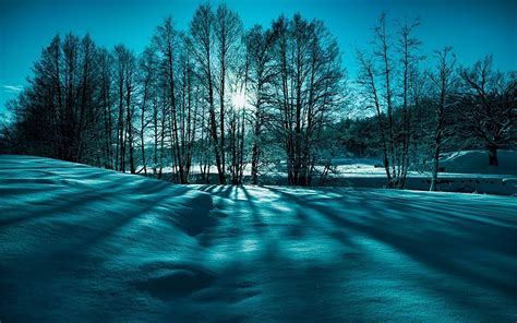 Fondos De Pantalla Nieve Rboles Naturaleza Invierno X