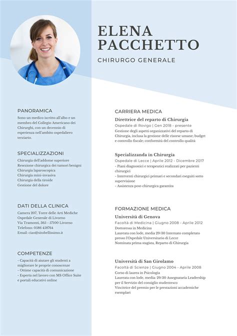 Modelli Di Curriculum Gratis Crea Il Curriculum Perfetto Canva