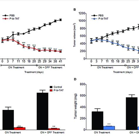 Glioblastoma Xenografts Implanted In Nude Mice Using U87 Luc And