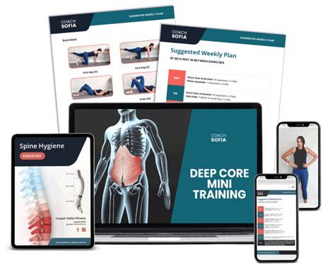 8 Chair Core Exercises To Do While Seated - Coach Sofia Fitness