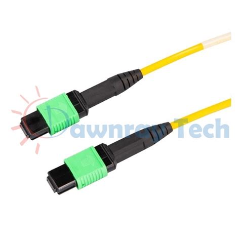 30m 98 43ft Mpo 12 Fiber Single Mode Fiber Patch Cord Os2 Female Mpo Apc Female Mpo Apc Type B