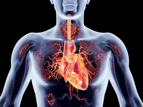 5 Tell Tale Signs You Have Poor Circulation - Manifestival