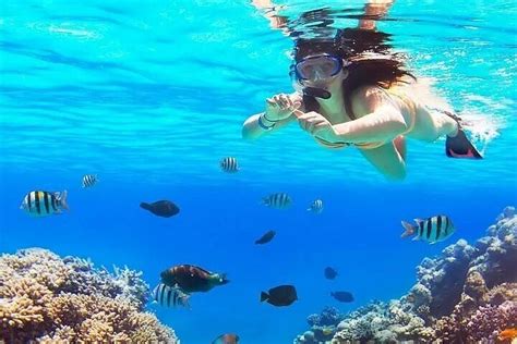 2024 BVI Beach Snorkel tour provided by BVI360 Day Tours