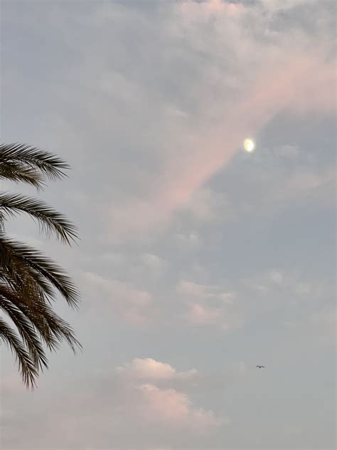 The Truth About Jules Ari: Stanford, OnlyFans, And A Fortune - Truth or