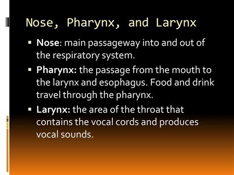 Respiratory System Ppt Download