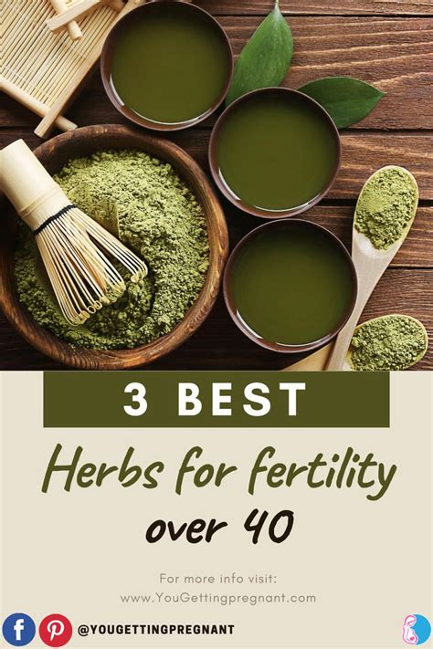 Best Herbs For Fertility Over Herbs For Fertility Healthy Mind