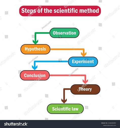 Diagram Of Steps In Scientific Method Royalty Free Stock Vector 2186040493