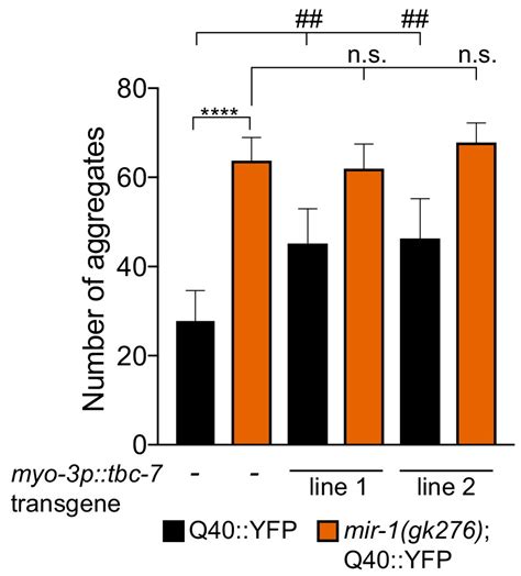 Figures And Data In Interferon Induced Mir Alleviates Toxic Protein