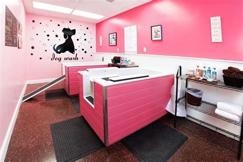 Self Serve Self Washing Dog Wash Station In Wichita At Woof Gang