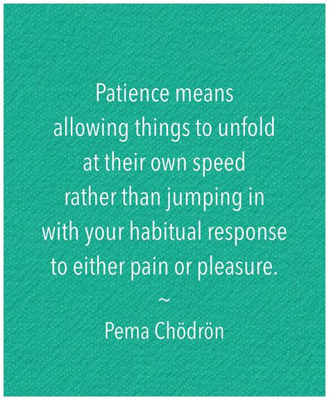 patience  practice  response  metta garden