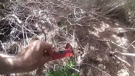 Lvav Ep48 Beach Porn XHamster