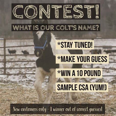 Mortgage Free Life NC - What's my name? It's not Monty that's for sure