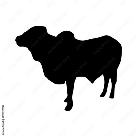 Qurbani pakistani and indian cow or cattle silhouette vector