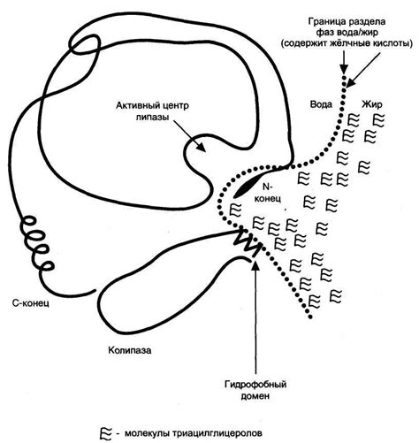 Кафедра биохимии