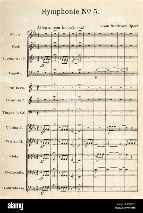 Beethoven 5th Symphony - opening bars of printed score for full ...