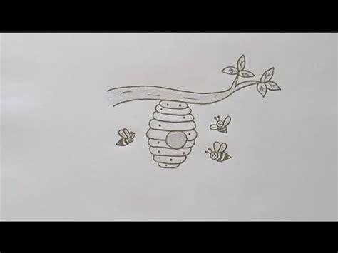 How To Draw Honeybee Easy Honeybee Drawing Step By Step For Beginners