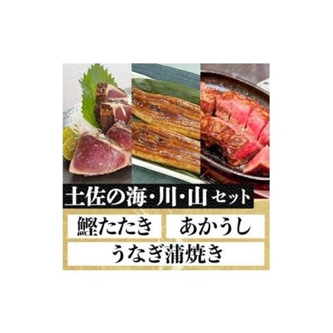 ふるさと納税 高知県 高知市 「土佐の海・川・山」 鰹たたき・うなぎ蒲焼き・あかうしセット 5421577ふるさとチョイス 通販