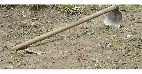 Как да се подготвим за есенна обработка в лозето | Български Фермер