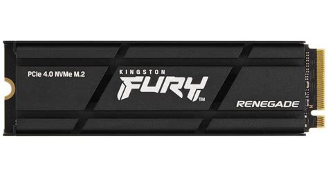 Kingston FURY Renegade 1 TB (SFYRSK/1000G) | SoloTodo